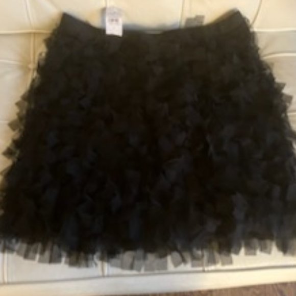 NWT Mini Boden Appliqué Tulle Skirt